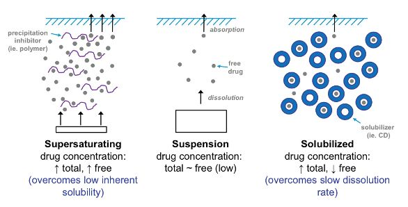 CarboHyde blog, Supersaturated Drug Delivery System of Oxyberberine Based on Cyclodextrin Nanoaggregates: Preparation, Characterization, and in vivo Application